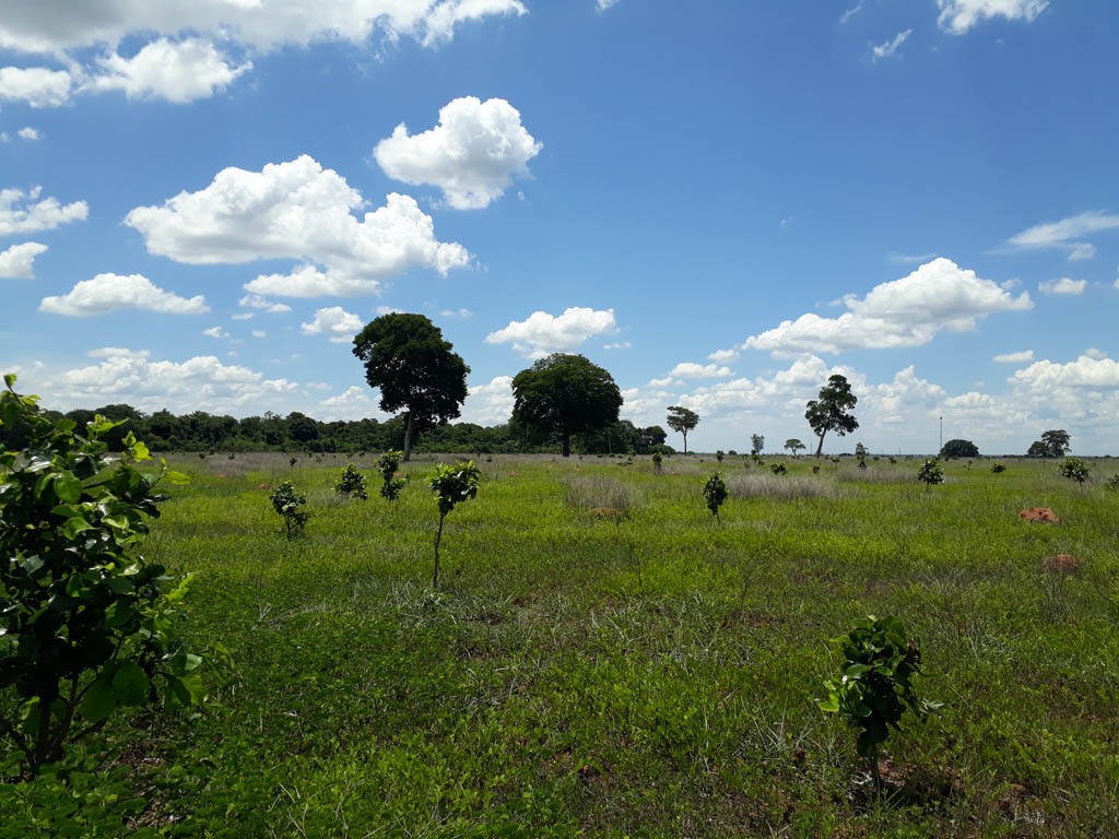 Visão oeste - west view