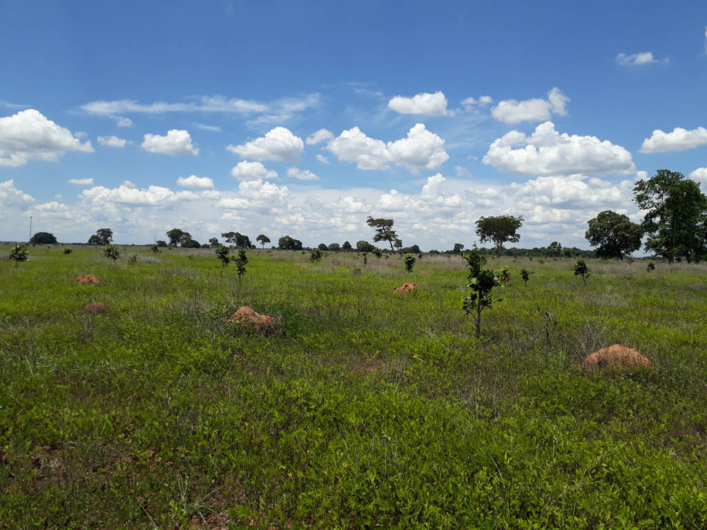 Visão norte - north view