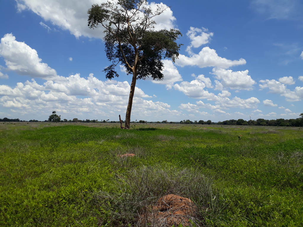 Visão leste - east view