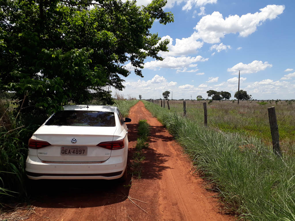 Parei o carro embaixo de uma árvore - I stopped the car under a tree