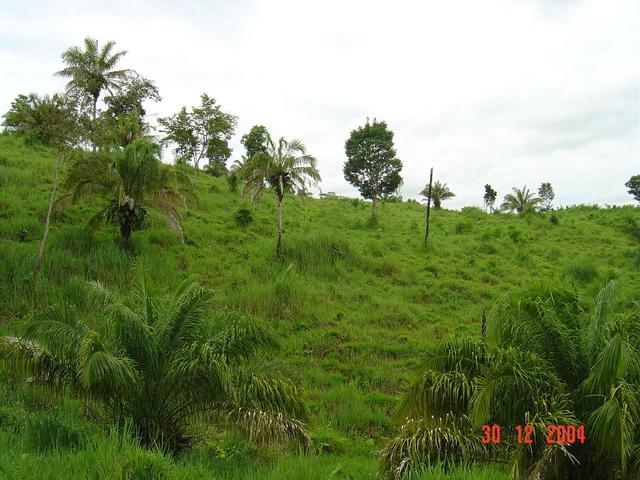 Visão Norte do Ponto (North)