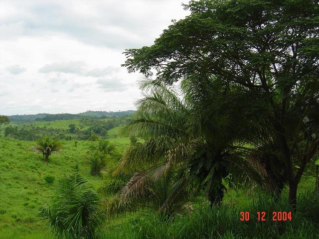 Visão Oeste do Ponto (West)