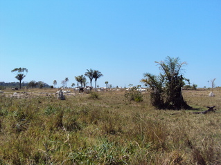 #1: Visão leste da confluência. East View