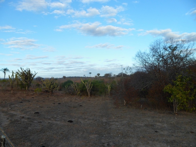 Visão oeste - west view