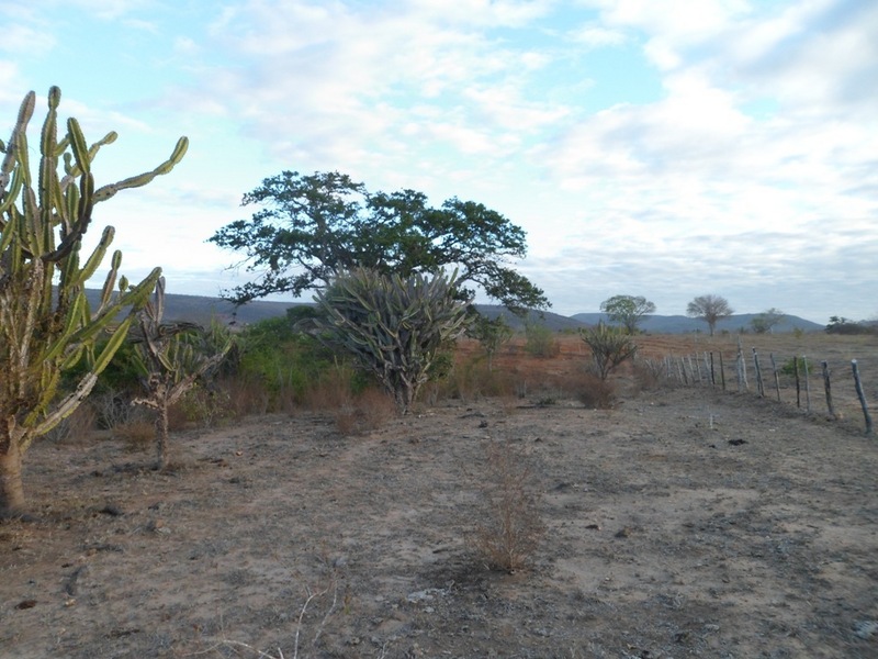 Visão norte - north view