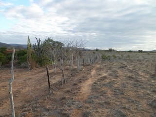 #1: Visão geral - general view