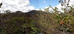 #2: Visada panorâmica Sul. Panoramic view to south from the closest point we reached.