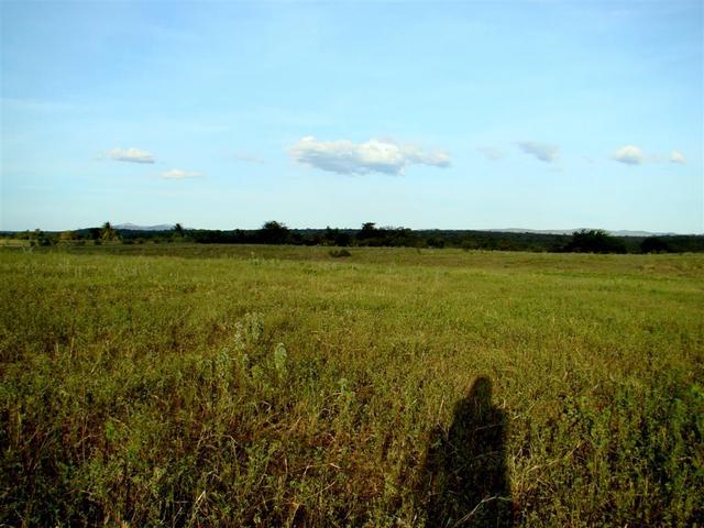 View to east from cp