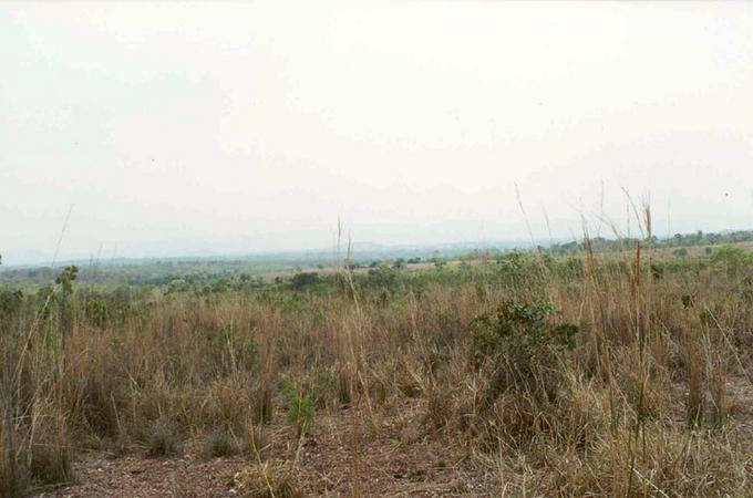 North