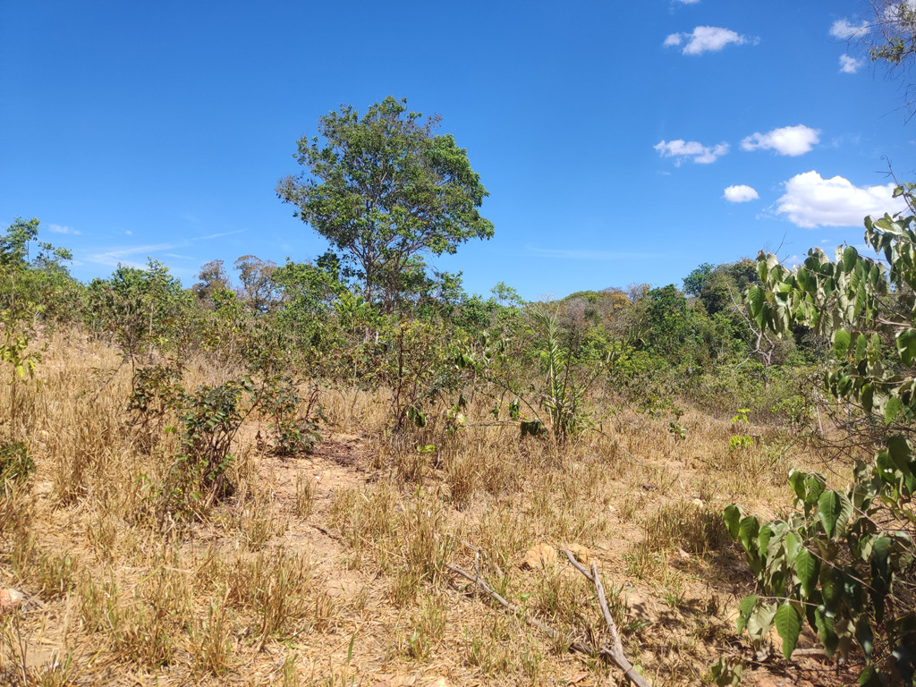Visão oeste - west view