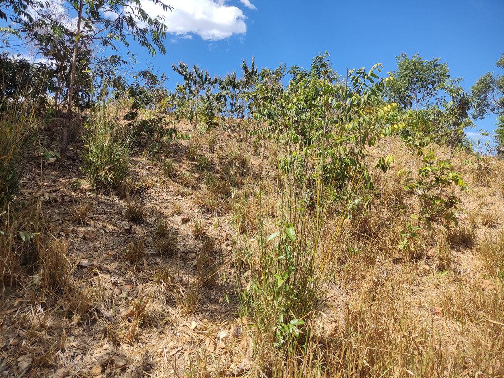 Visão sul - south view