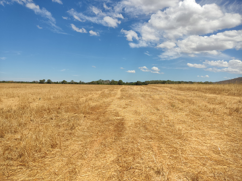 Caminhada até a confluência - hiking to the confluence