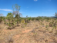 #10: Caminhada até a confluência - hiking to the confluence