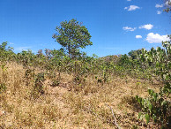 #2: Visão oeste - west view