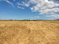 #8: Caminhada até a confluência - hiking to the confluence