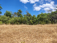 #9: A barreira de mata não é tão fechada quanto parece - the forest barrier isn't as dense as it looks like