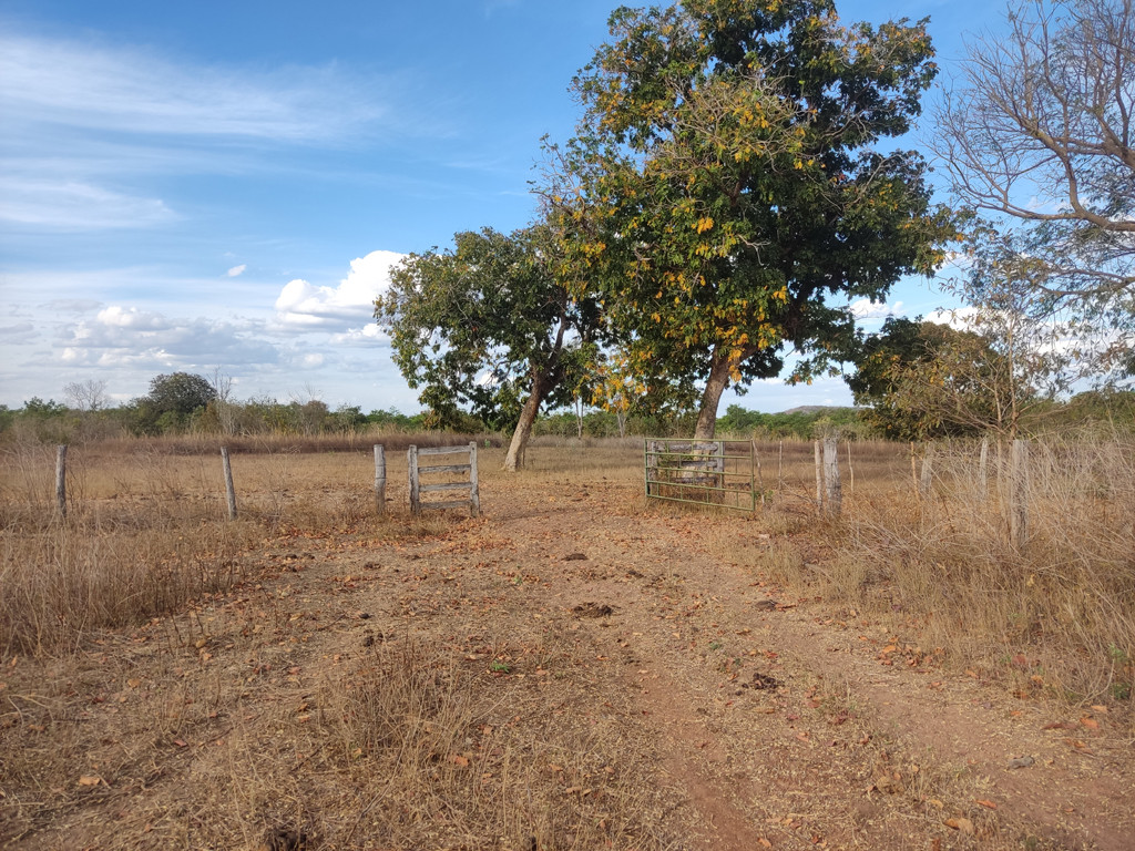 Caminhada até a confluência - hiking to the confluence