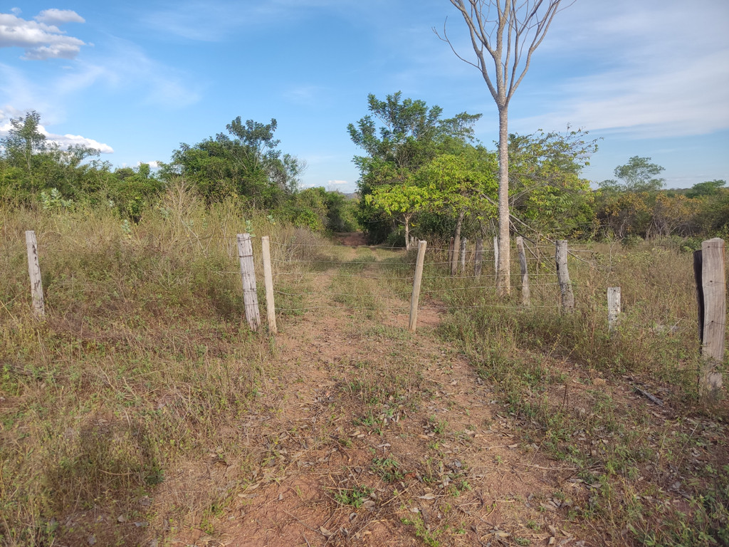 Caminhada até a confluência - hiking to the confluence
