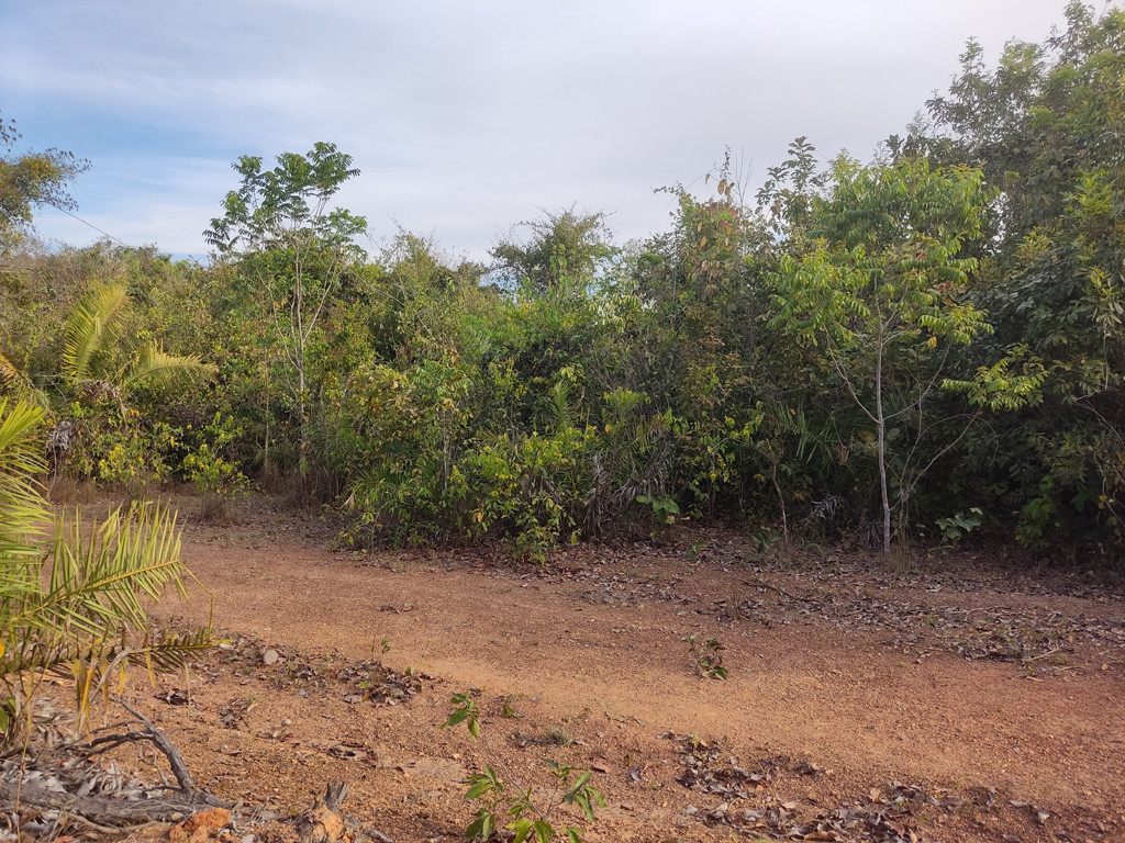 Visão sul - south view