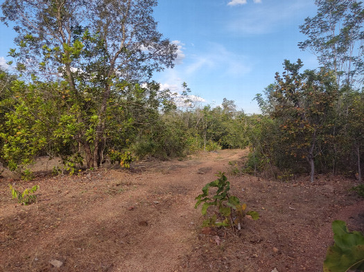 #1: Visão geral - general view