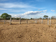 #11: Caminhada até a confluência - hiking to the confluence