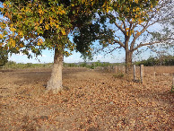 #14: Caminhada até a confluência - hiking to the confluence