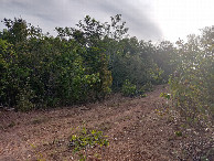 #2: Visão oeste - west view