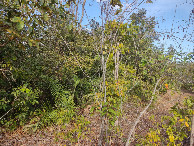 #4: Visão leste - east view