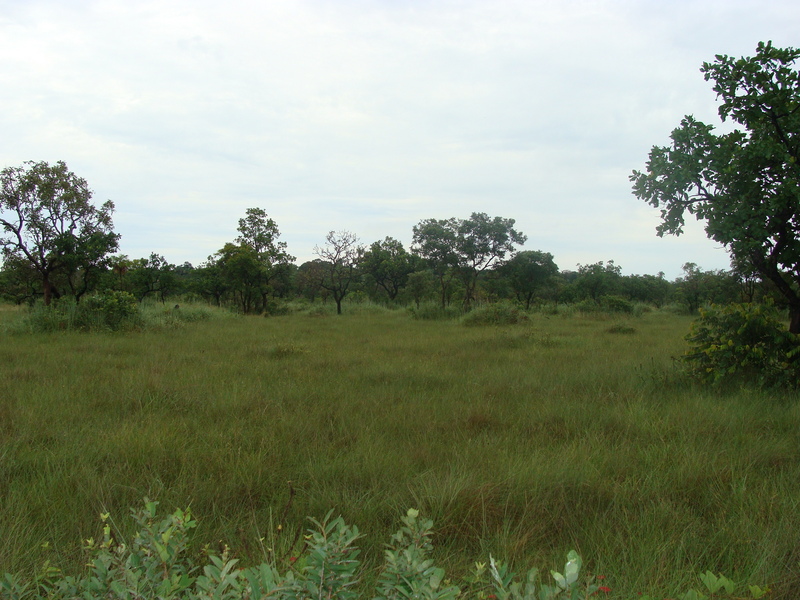 Vista Sul - South View