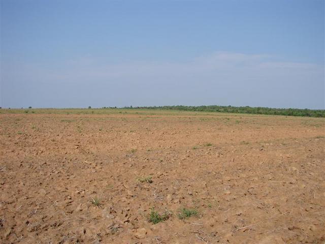 South
