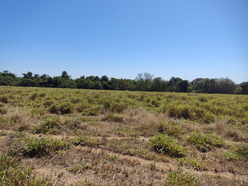 Visão norte - north view