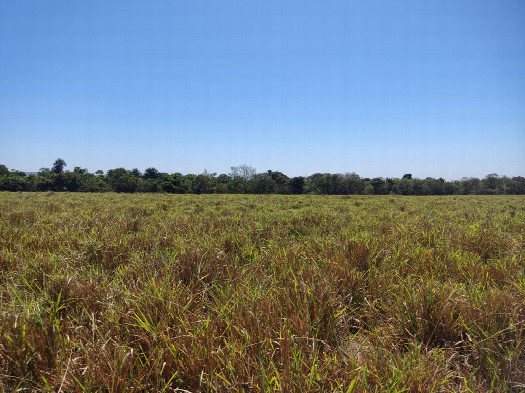 #1: Visão geral - general view