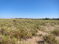 #2: Visão oeste - west view