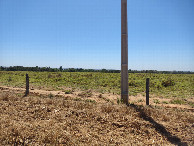 #9: Confluência 800 metros adiante - confluence 800 meters ahead