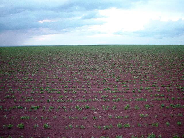 Facing South