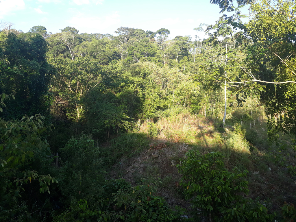 Visão geral - general view