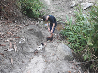 #12: Dois pequenos cachorros nos acompanharam na caminhada de retorno - two little dogs accompany us on the way back