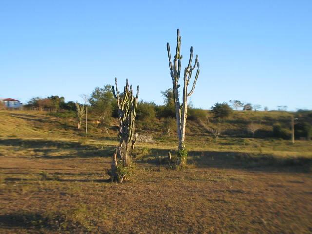 Visão Sul, South view