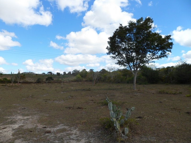 Visão oeste - west view