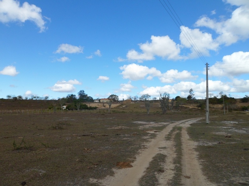 Visão sul e confluência 84 metros adiante - south view and confluence 84 meters ahead