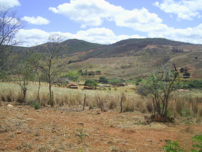 Visão nordeste e o carro parado a 175 metros da confluência - northeast view and car stopped 175 meters close to the confluence