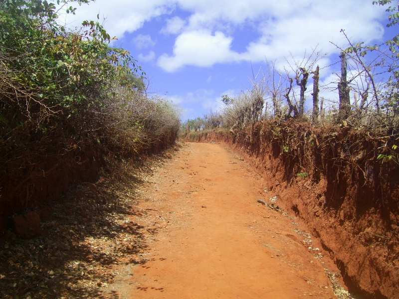 A estrada de terra passa a 13 metros da confluence - dirt road 13 meters close to the confluence