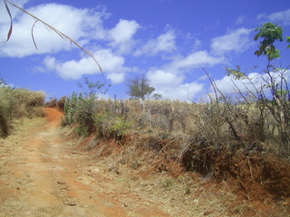 #1: Visão geral - general view