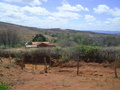 #4: Visão leste - east view