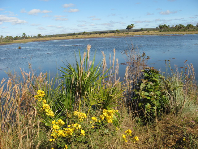 Lake next to the road