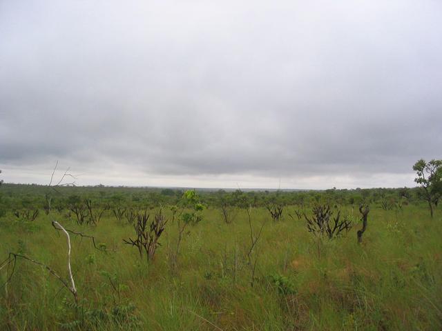 General area, taken within 100 meters of the confluence.