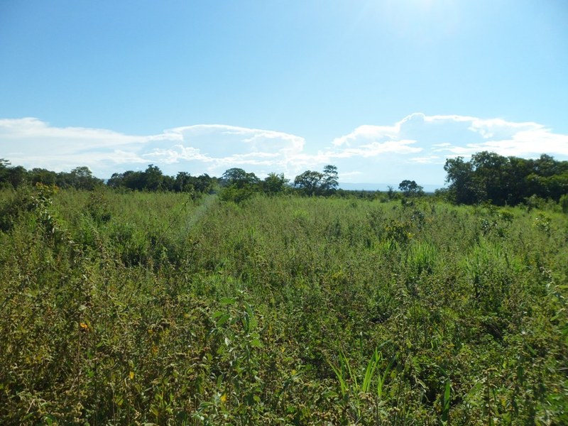 Visão oeste - west view