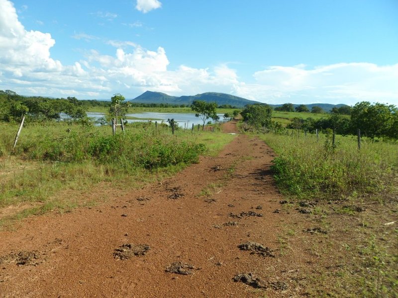 A estrada de terra passa a menos de 300 metros da confluência - dirt road passes less then 300 meters to the confluence