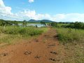 #7: A estrada de terra passa a menos de 300 metros da confluência - dirt road passes less then 300 meters to the confluence