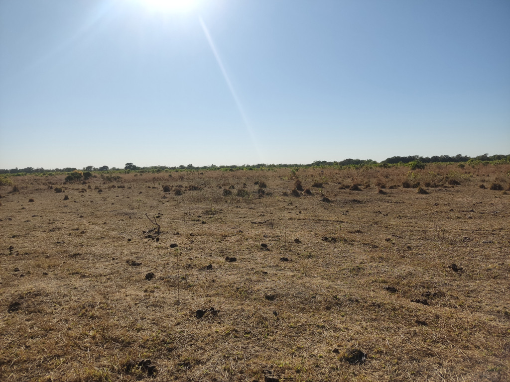 Visão leste - east view